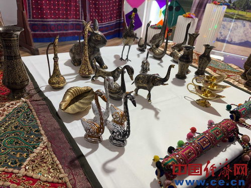 文化交流的華章 巴基斯坦駐華使館學校國際文化日精彩紛呈