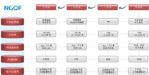 OTN精品專線成行業(yè)趨勢，謹(jǐn)防服務(wù)品質(zhì)“開倒車” 信息系統(tǒng)集成服務(wù)的挑戰(zhàn)與應(yīng)對