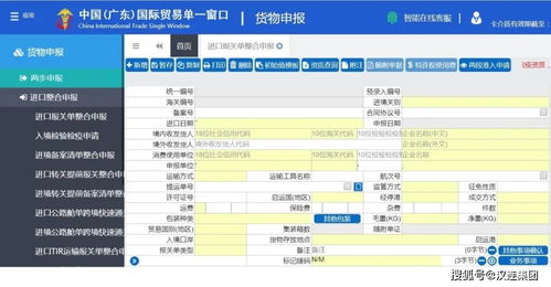 進(jìn)出口貨物申報(bào)管理及操作指引——以貨物進(jìn)出口為中心